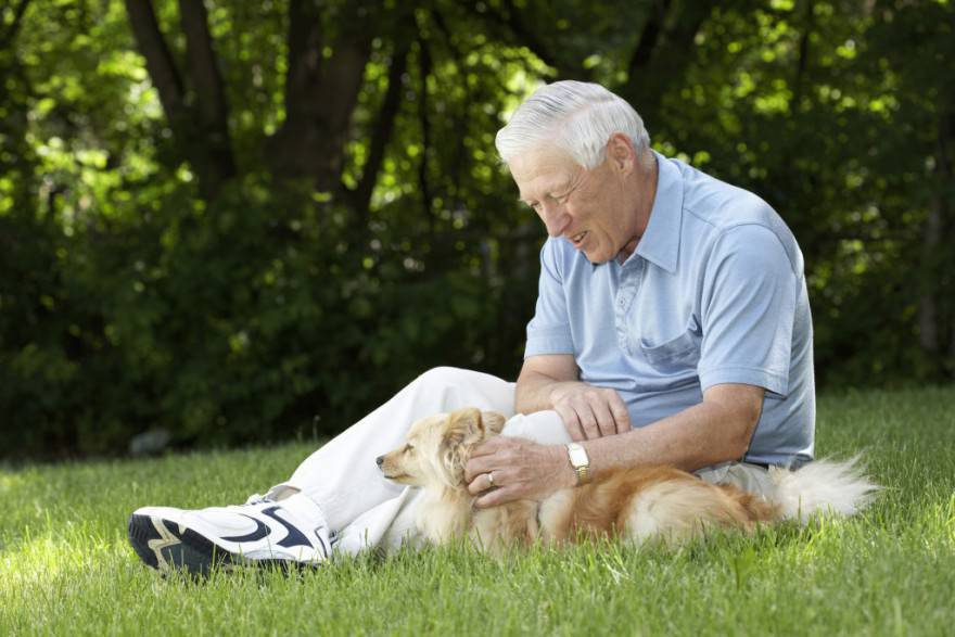 anziano con cane