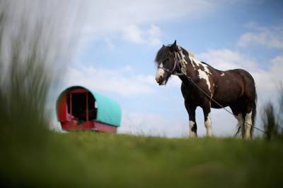 APPLEBY, ENGLAND - JUNE 04: Traditional romany caravans camp on Fair Hill during the Appleby Horse Fair on June 4, 2015 in Appleby, England. The Appleby Horse Fair has existed under the protection of a charter granted by James II since 1685 and is one of the key gathering points for the Romany, gypsy and traveling community. The fair is attended by about 5,000 travellers who come to buy and sell horses. The animals are washed and groomed before being ridden at high speed along the 'mad mile' for the viewing of potential buyers. (Photo by Christopher Furlong/Getty Images)