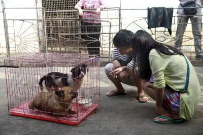I due cani salvati dalla Humane Society International