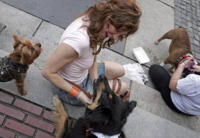 NEW YORK - JUNE 5: Lisa Simkin of Manhattan plays with Puffin (C) as her dog, Opus (L) looks on in Byant Park June 5, 2005 in New York City. Dog owners and their pets gathered for a group portrait by Magnum photographer Elliott Erwitt. The event marked two new releases in the 24/7 series of books produced by Rick Smolan and David Elliott Cohen,"Dogs 24/7" and "Cats 24/7." (Photo by Michael Nagle/Getty Images)