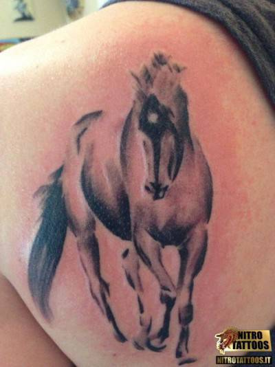cavalli tattoo3