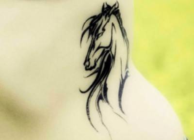 cavalli tattoo4