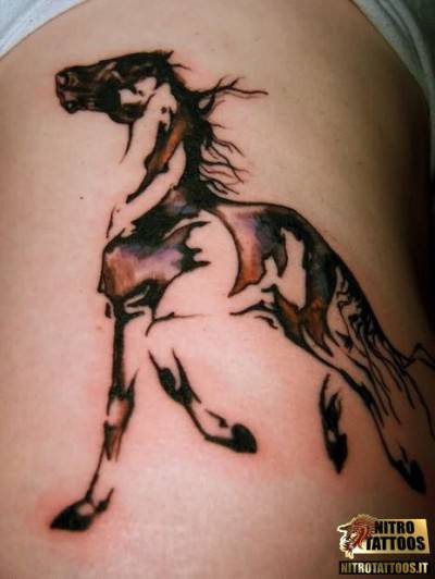 cavalli tattoo5