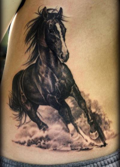 cavalli tattoo6