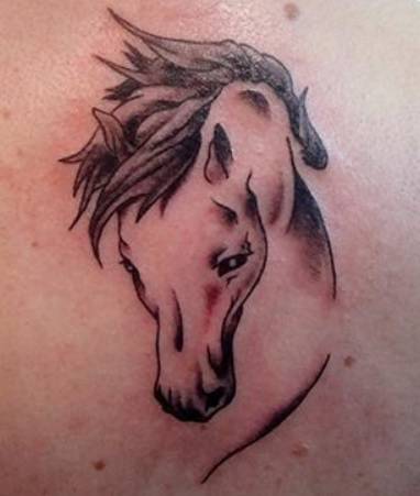 cavalli tattoo9