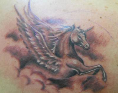 cavalli tattoo9a