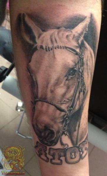 cavalli tattoo9b