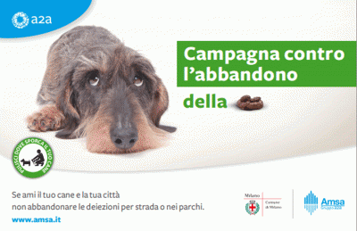 Abbandono-delle-deiezioni-canine1
