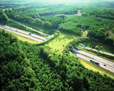 Ecoduct De Woeste Hoeve sopra l'autostrada A50, Paesi Bassi