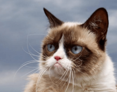 grumpy