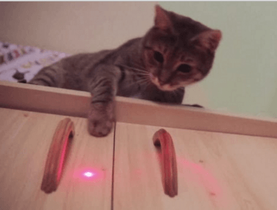 laser gatto