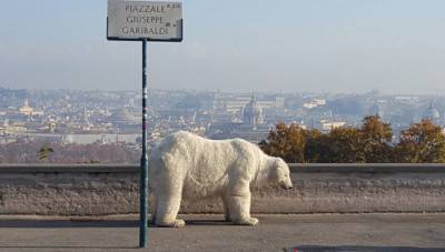 orso bianco
