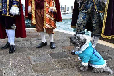 @Carnevale di Venezia- Getty images