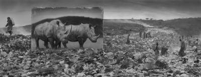 Wasteland with Rhinos & Residents 2015 @Nick Brandt