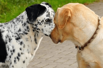 Schermata 2016-05-13 alle 11.57.51