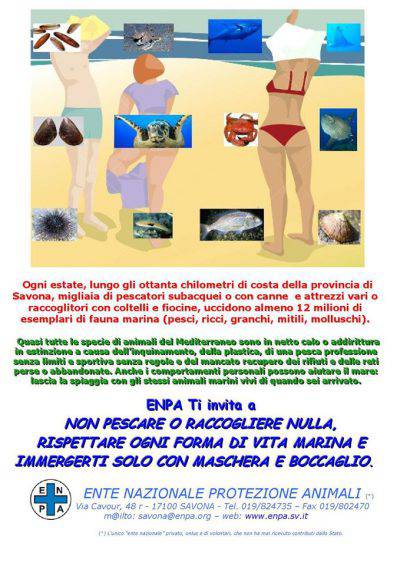 13502729_706957776108847_2212802186962013002_o