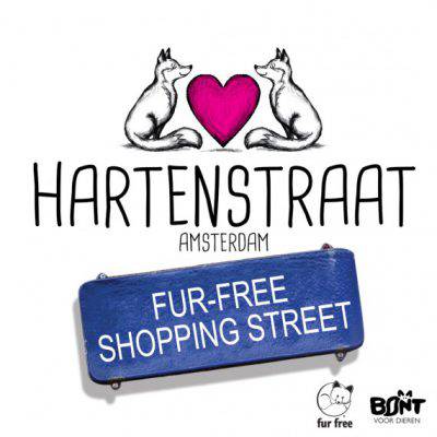 Hartenstraat_FB-570x570