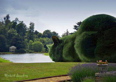 @Facebook The Topiary Cat