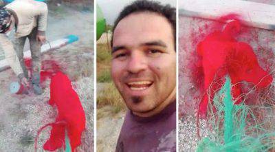 cane maltrattato dipinto di rosso