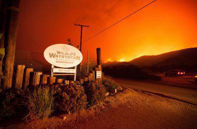 thewildlifewaystation