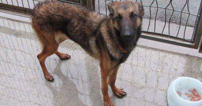 zaya-large-fb-5784c8e3d3731