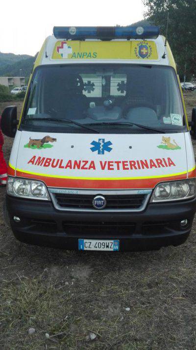 ambulanza animali