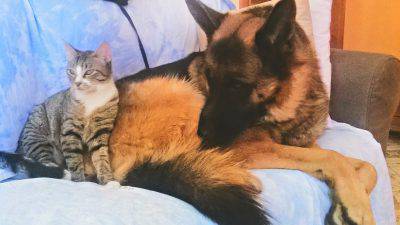 12031396_10207311667371494_2714871880820052765_o