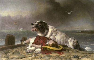landseer_saved