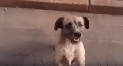 schermata-2016-11-24-alle-12-23-22