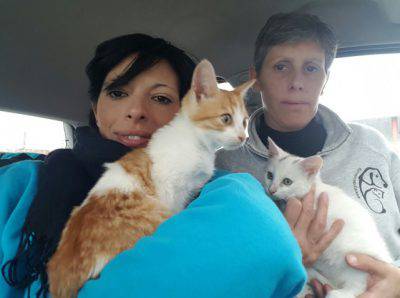 I gattini Snow e Carota salvati - FOTO: Facebook, LNDC