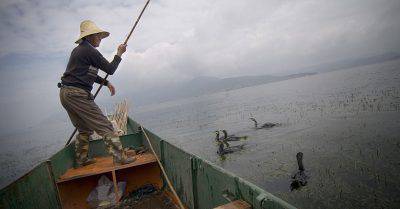 pesca-con-i-cormorani-olycom-835