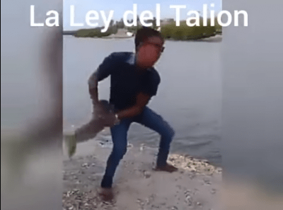 contenuto 100% originale