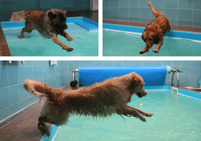 contenuto 100% originale