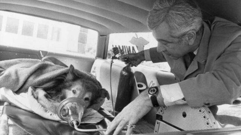 Le Foto Che Hanno Segnato Un Epoca