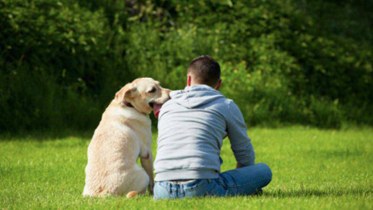A Che Età Il Cane Sceglie Il Padrone