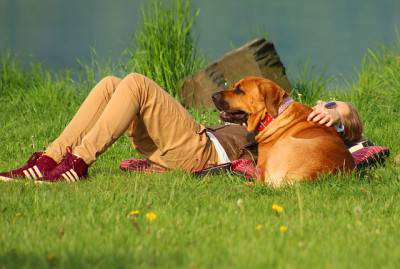 Uomo e cane