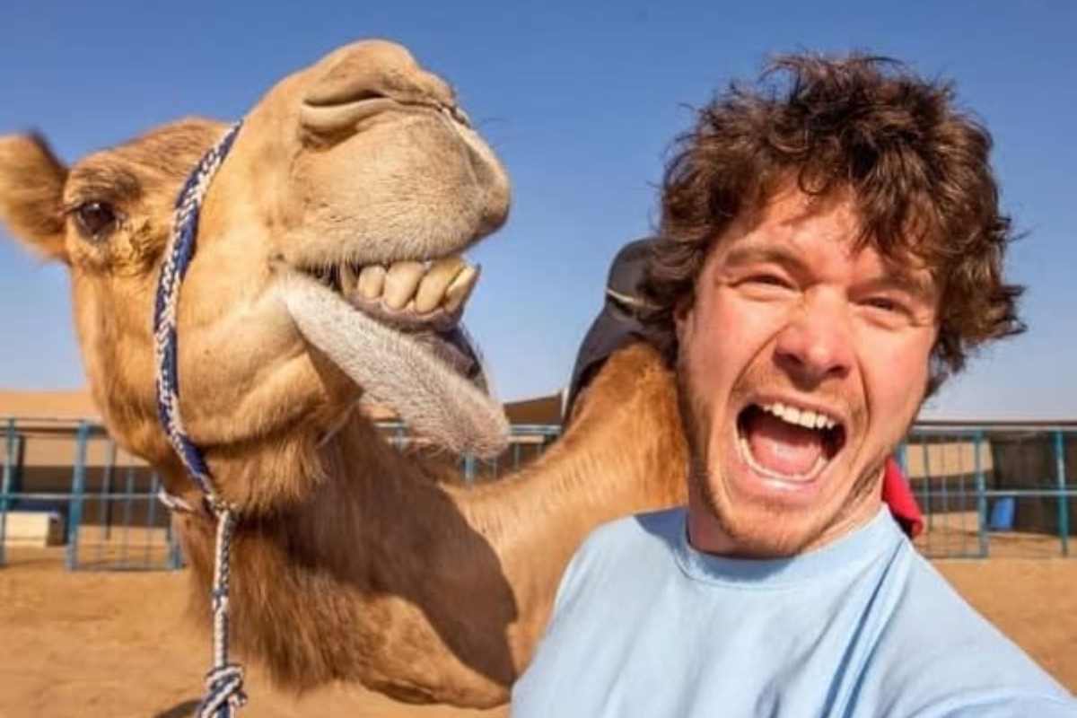 allan dixon selfie con cammello