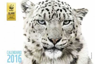 copertina calendario wwf 2016