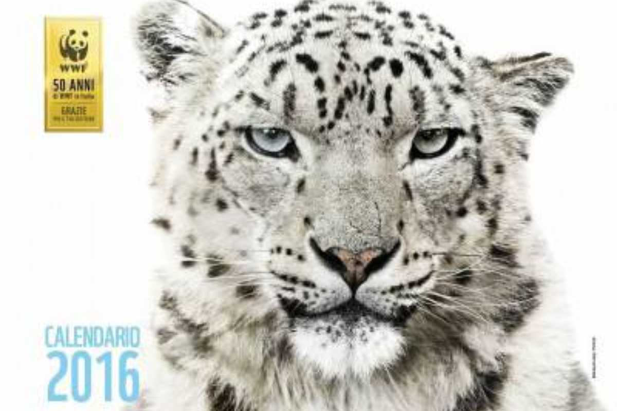 copertina calendario wwf 2016