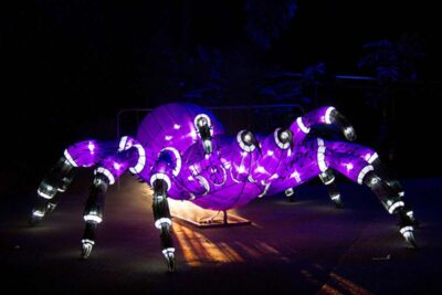 installazione multimediale zoo