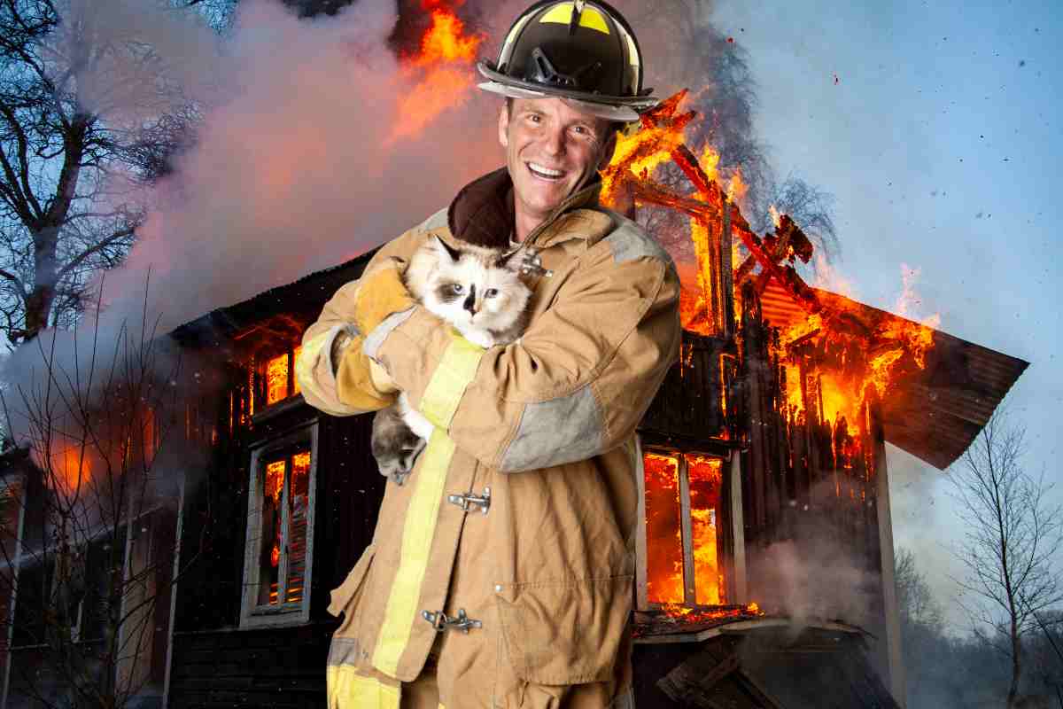 vigile del fuoco con gatto sullo sfondo casa in fiamme
