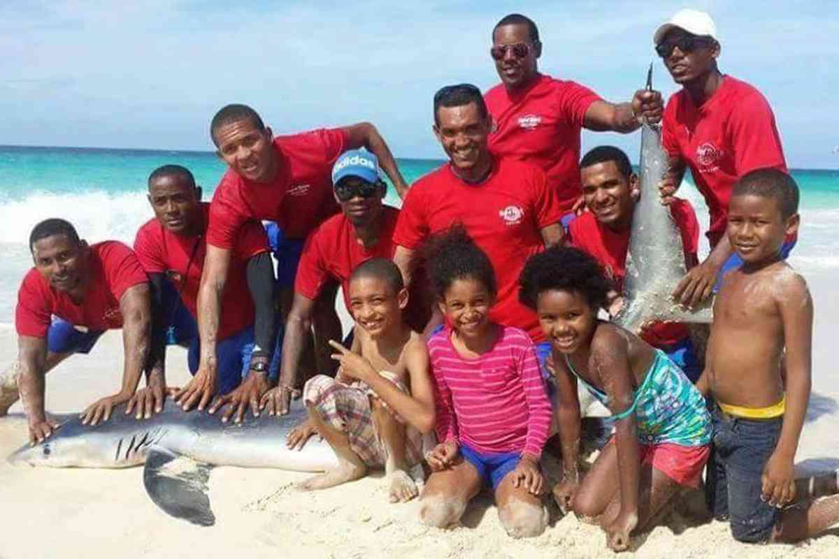 persone che fanno selfie con lo squalo