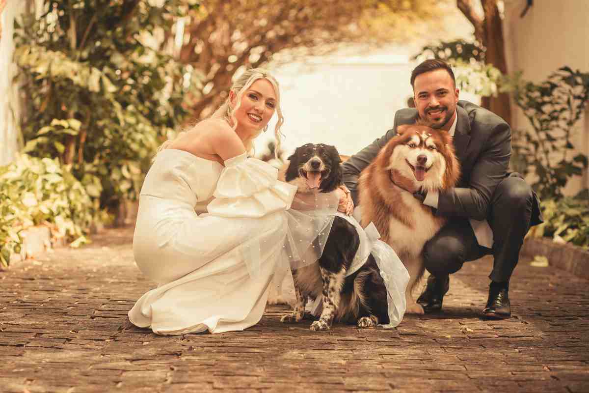 sposi con i loro cani al matrimonio