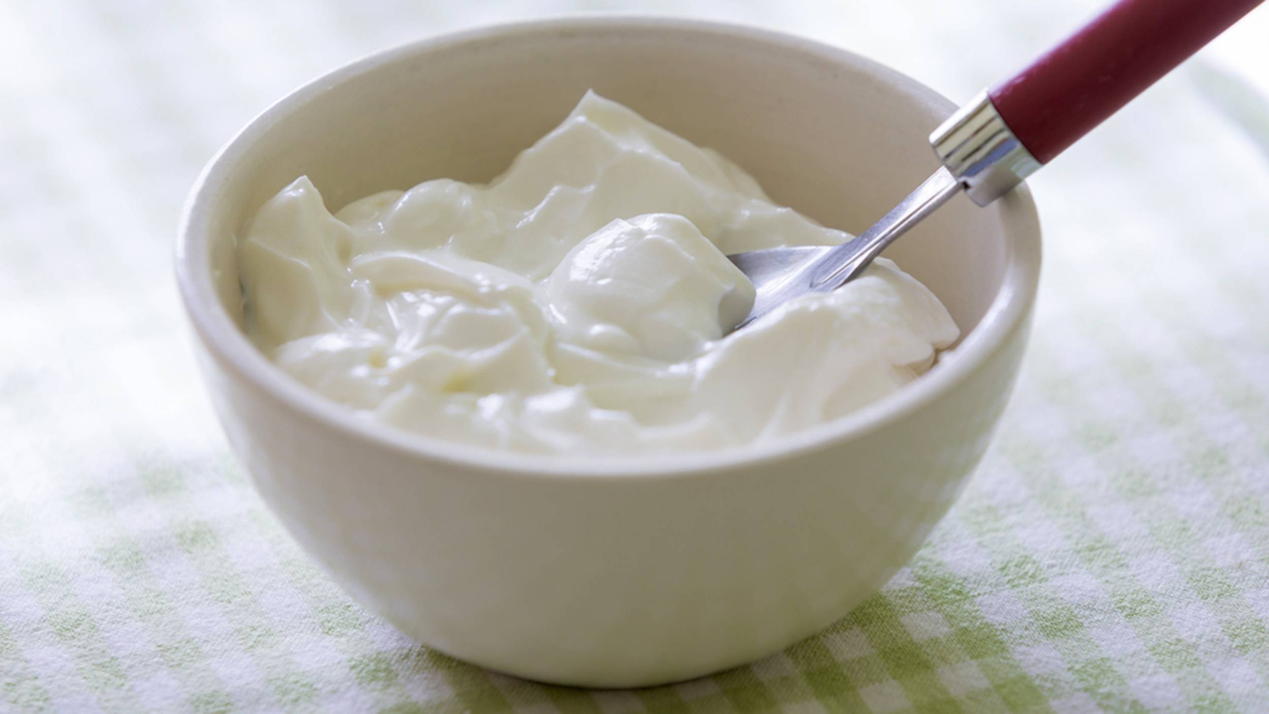 yogurt 