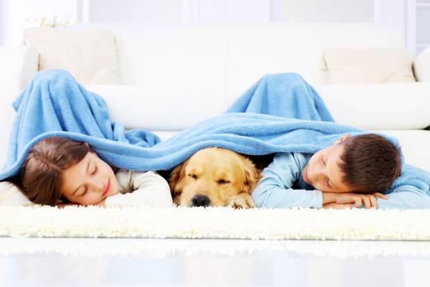 Dieci validi motivi per accogliere un cane in famiglia