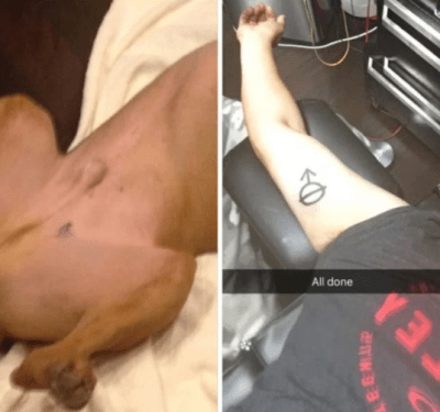 contenuto 100% originale