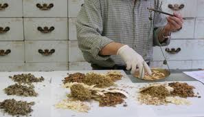 sun bear cistifellea