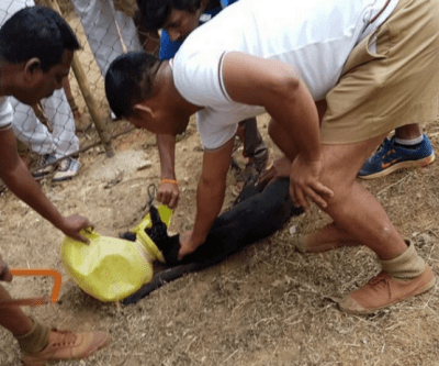 contenuto 100% originale