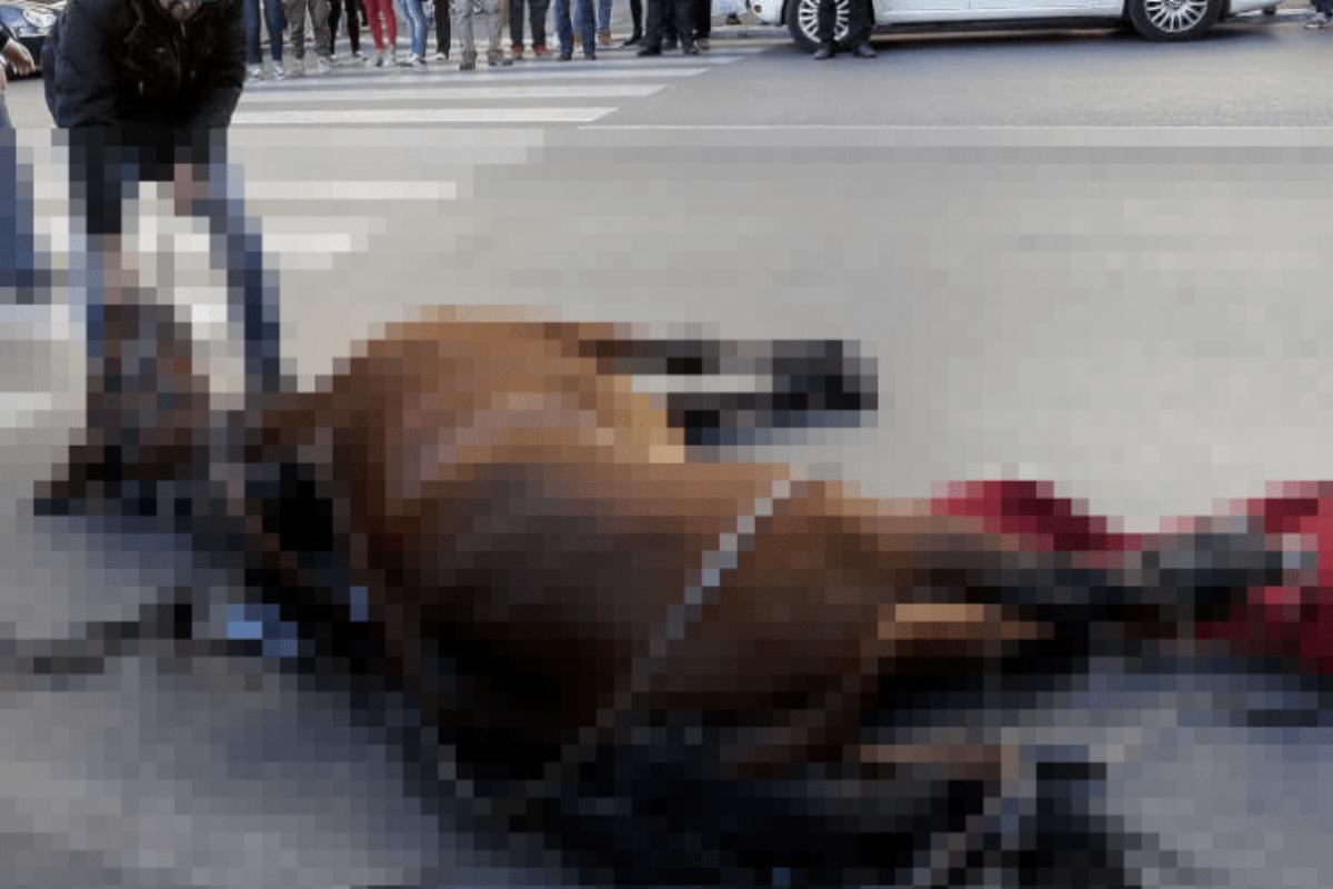 cavallo morto