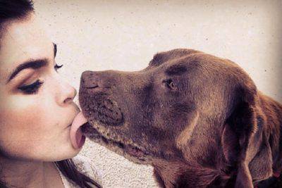 bacio del cane